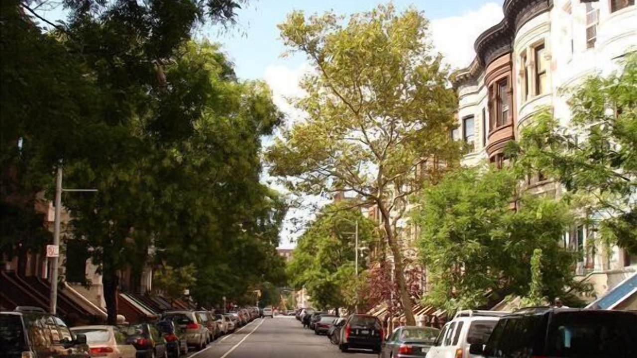 Photo of Others in Central Park North