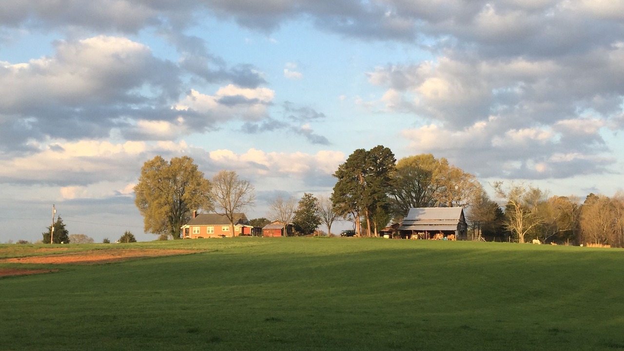Photo of Others in Albemarle