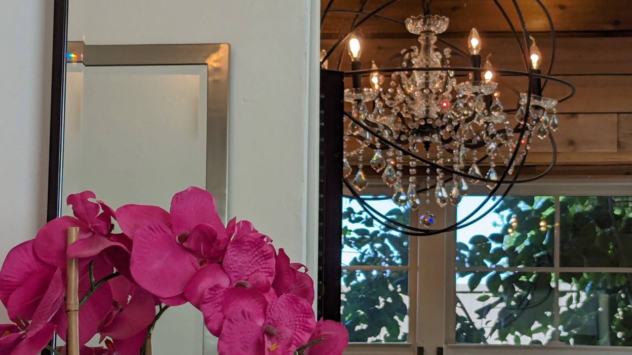 Photo of Others in Barton Hills