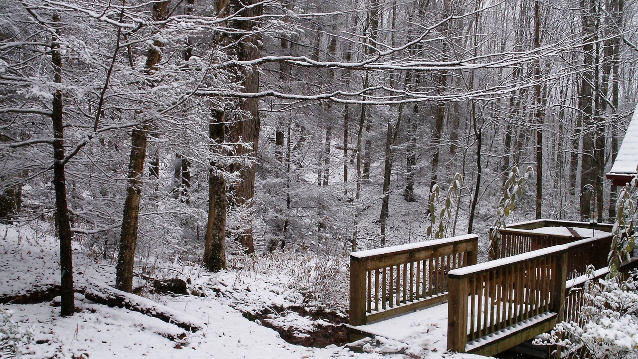 Photo of Others in Maggie Valley