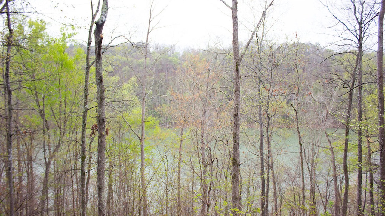 Photo of Outdoor in Smithville