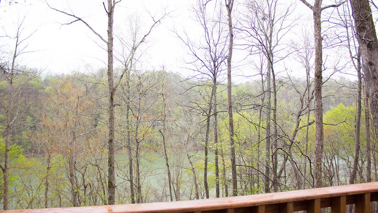 Photo of Outdoor in Smithville