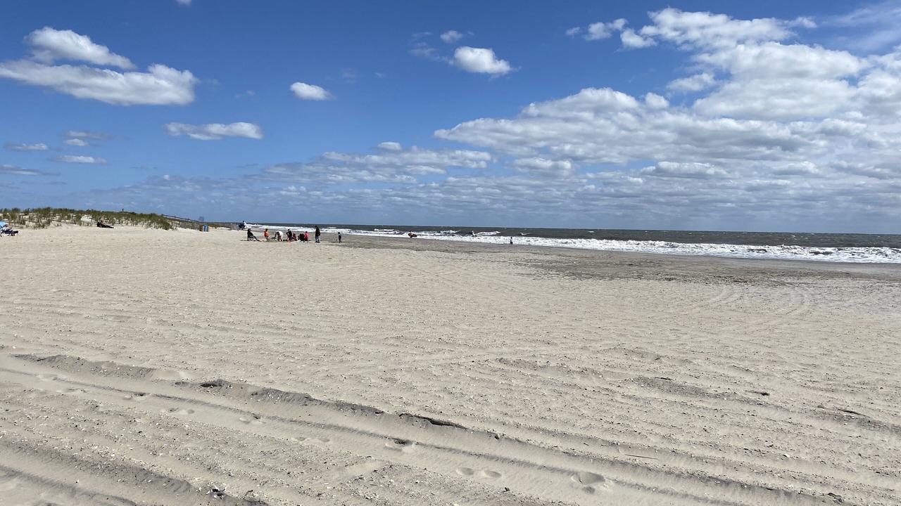 Photo of Others in South End