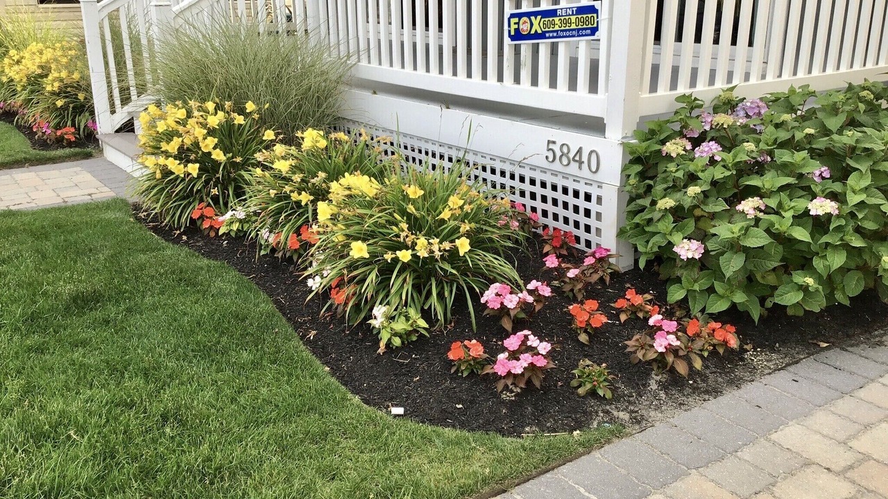 Photo of Others in South End