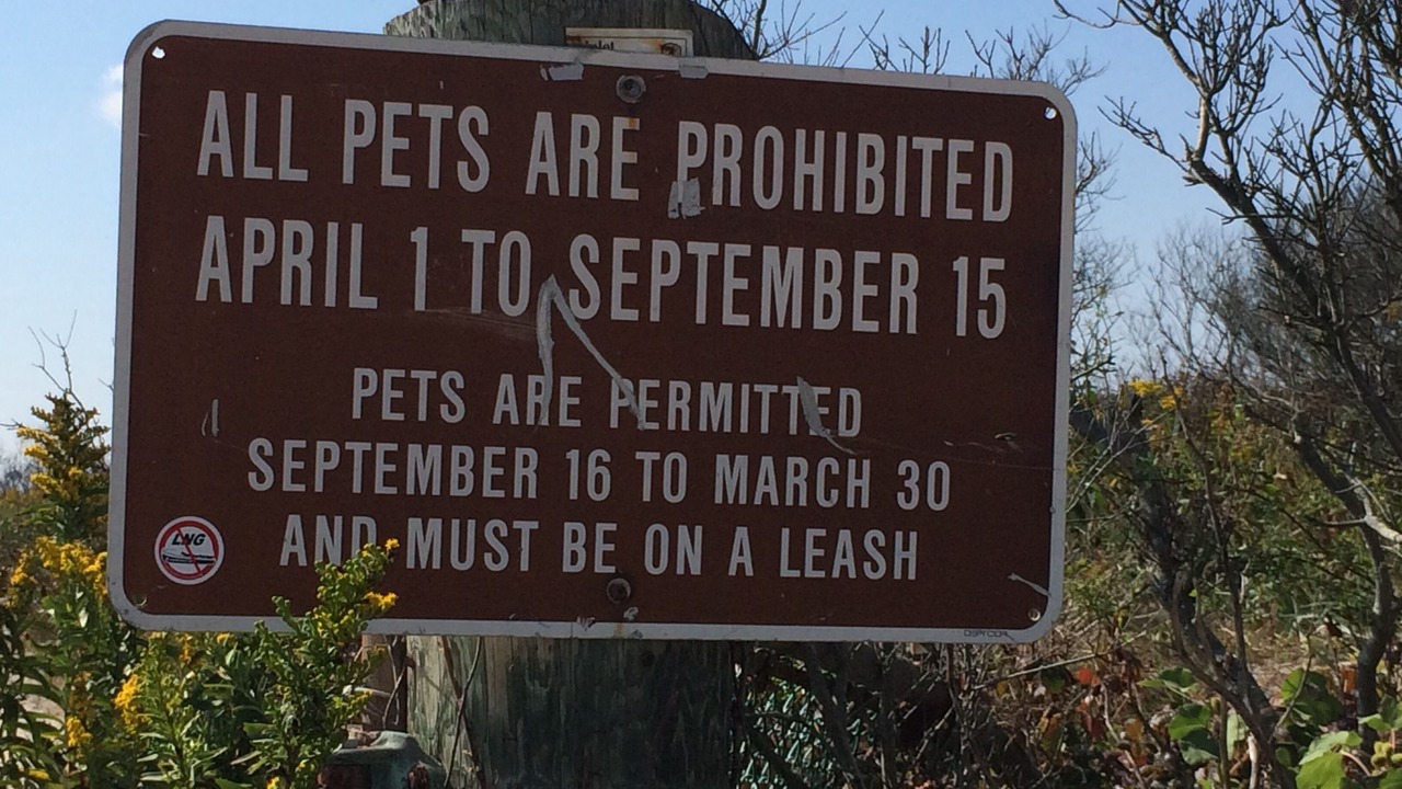 Photo of Others in South End