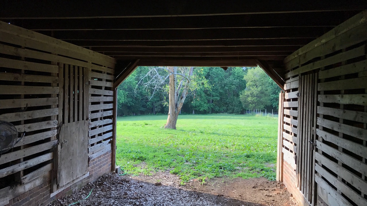 Photo of Outdoor in Albemarle