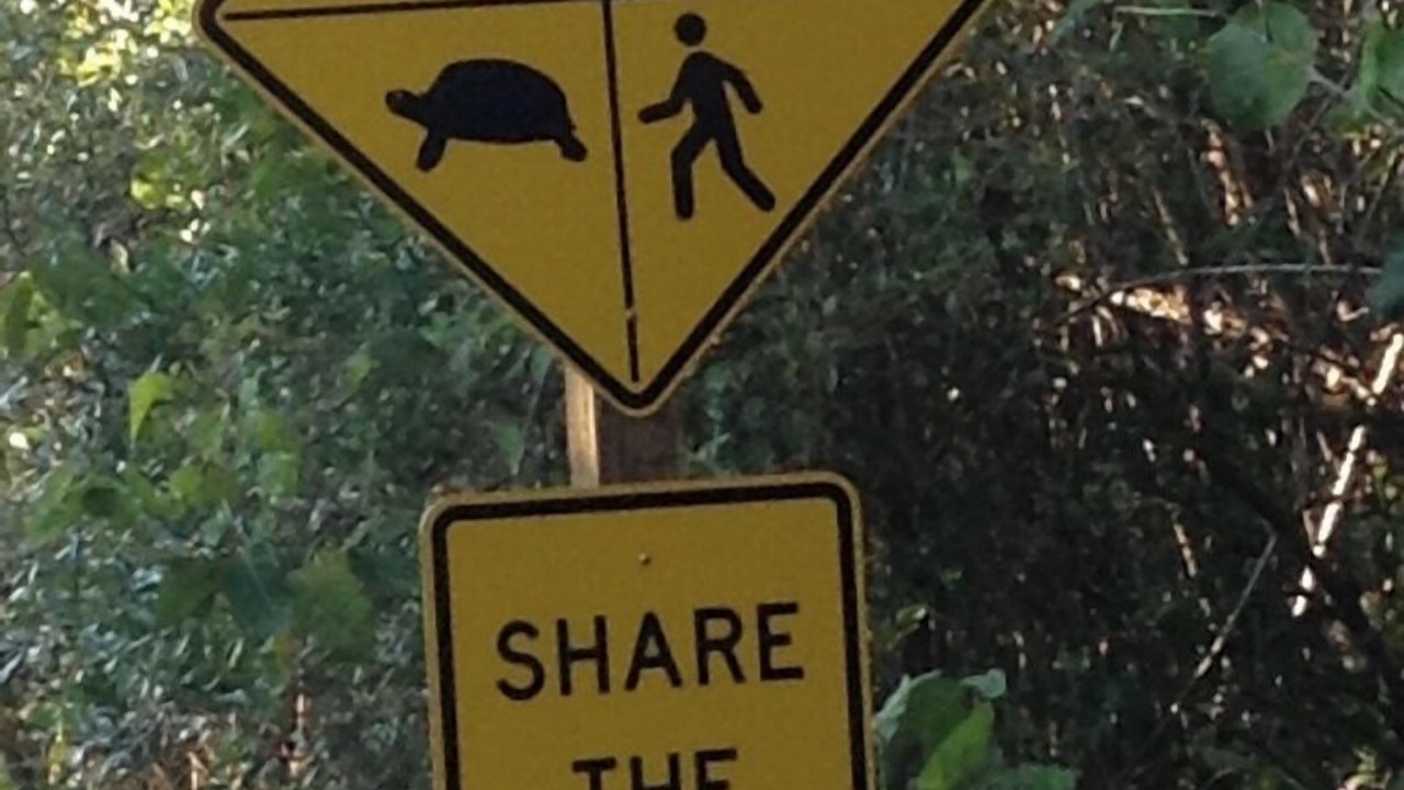 Photo of Others in Naples Park