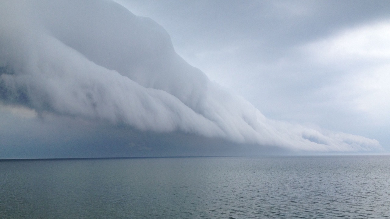 Photo of Others in Wilson