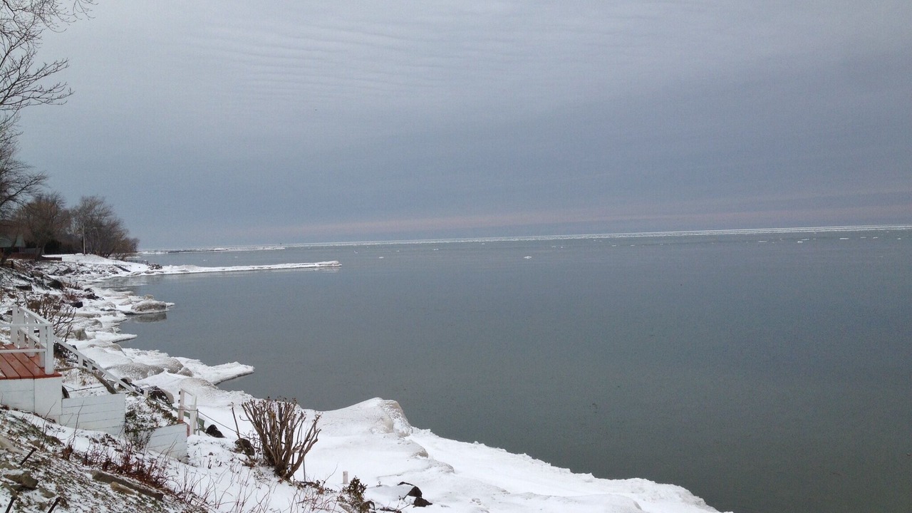Photo of Outdoor in Wilson