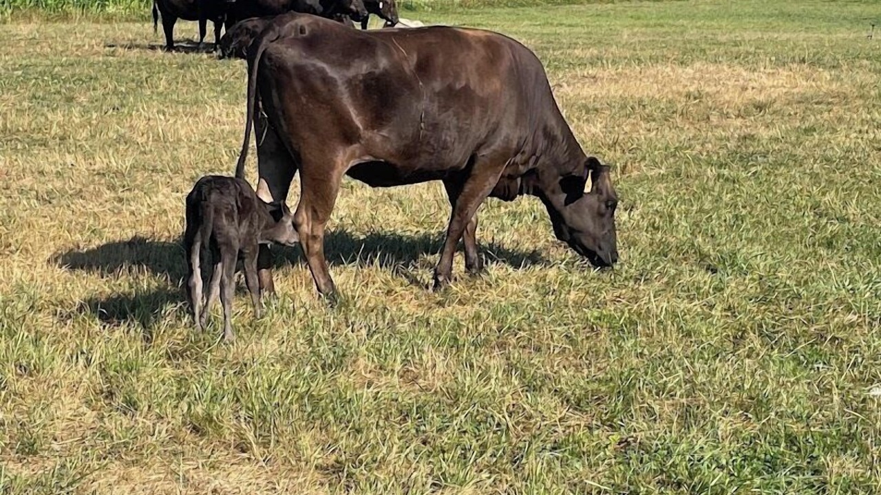 Photo of Others in Lynden