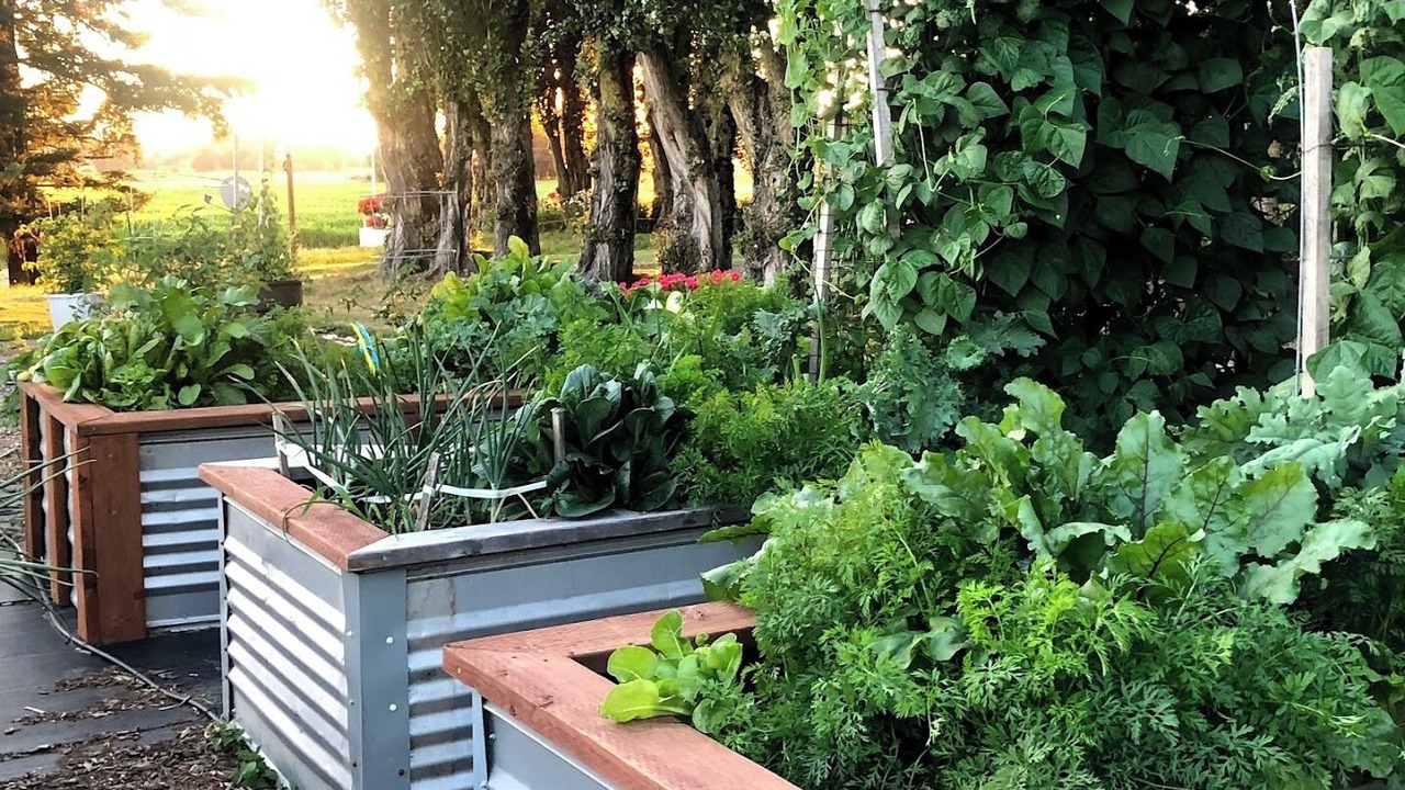 Photo of Outdoor in Lynden