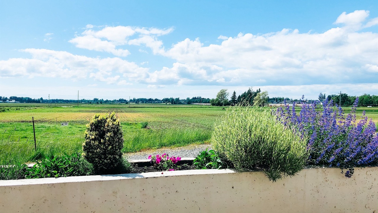 Photo of Others in Lynden