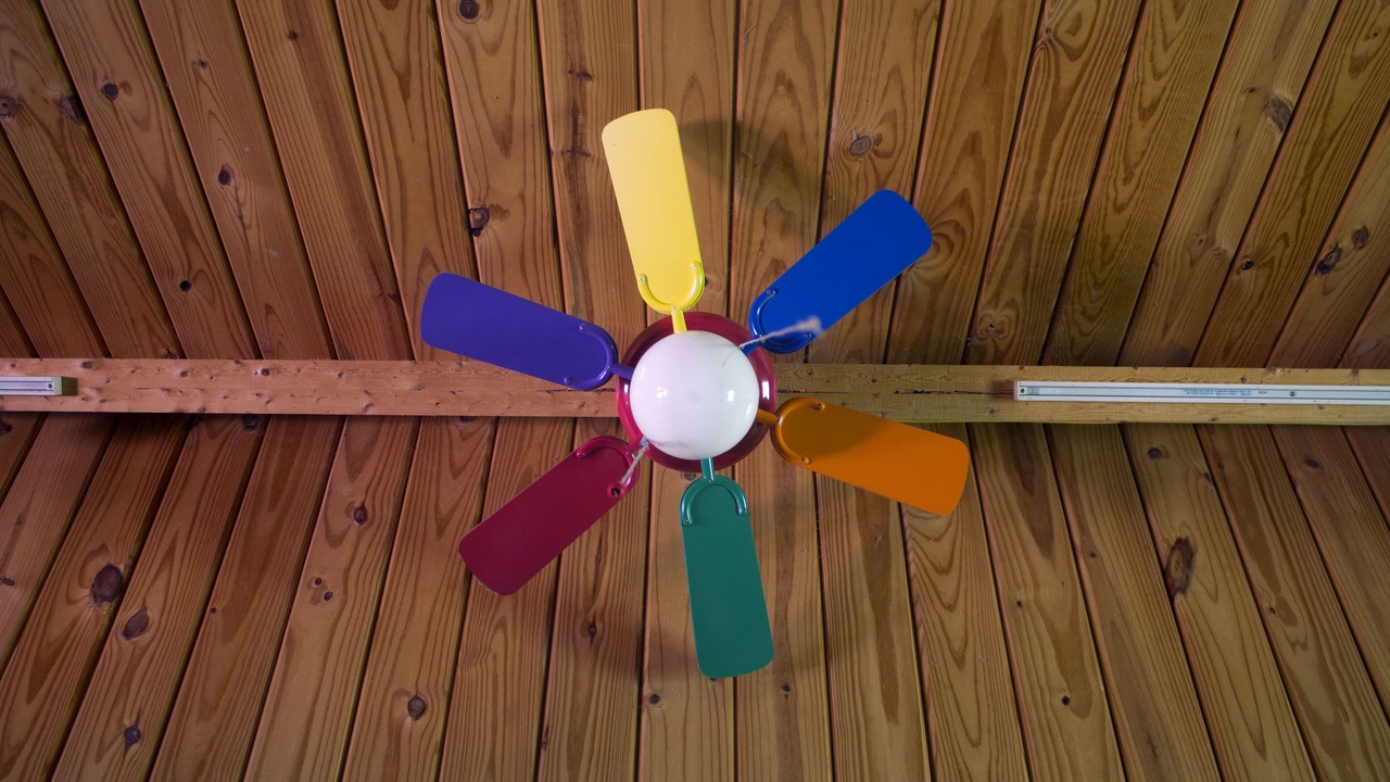 Photo of Others in Etna