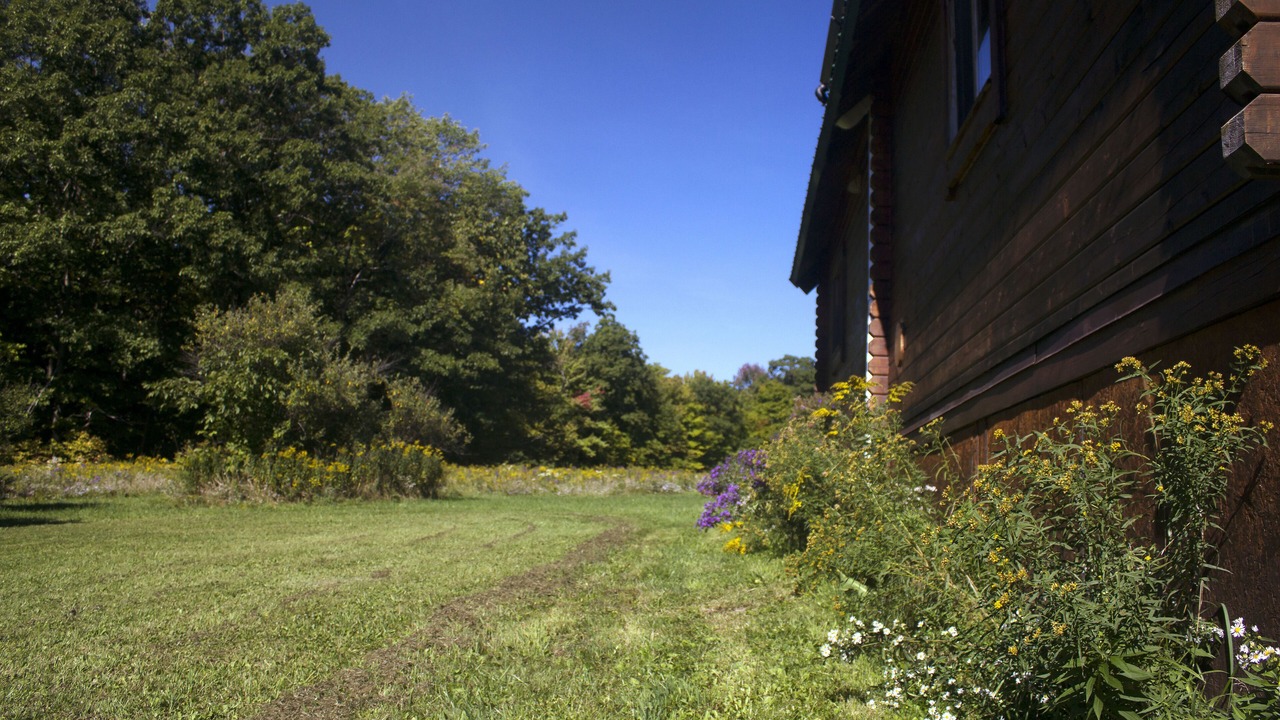 Photo of Outdoor in Etna