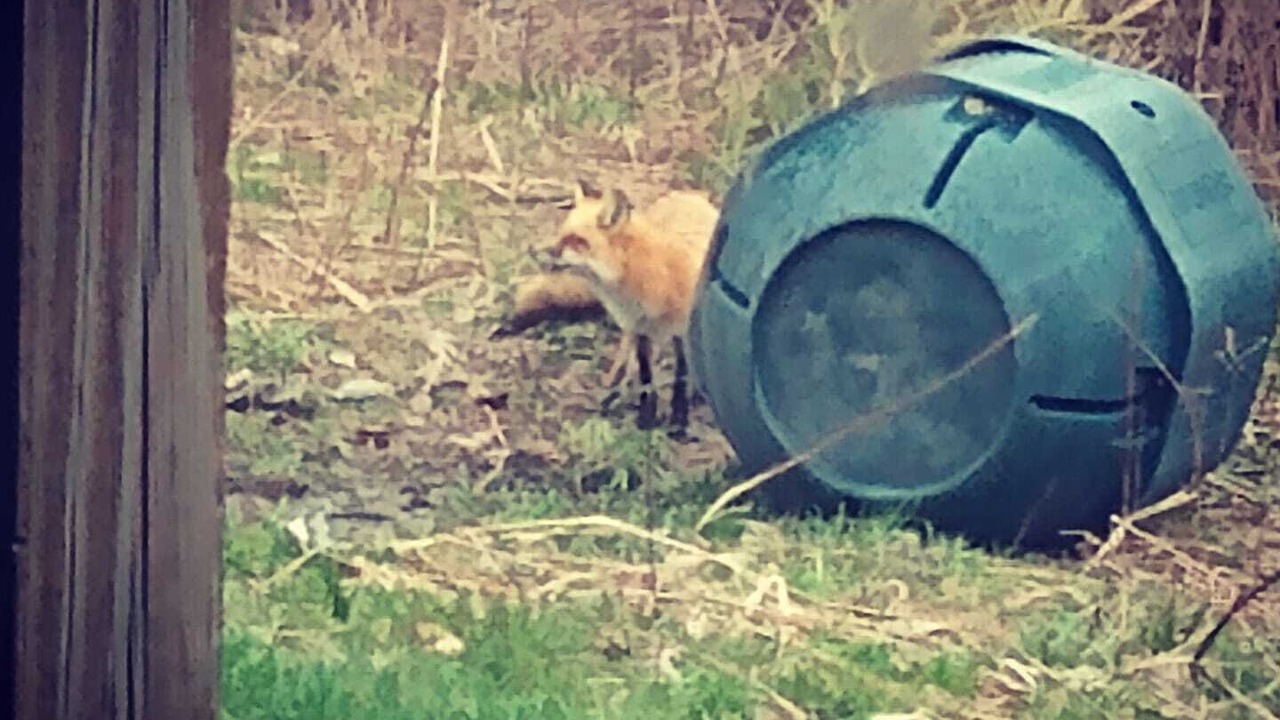 Photo of Others in Etna
