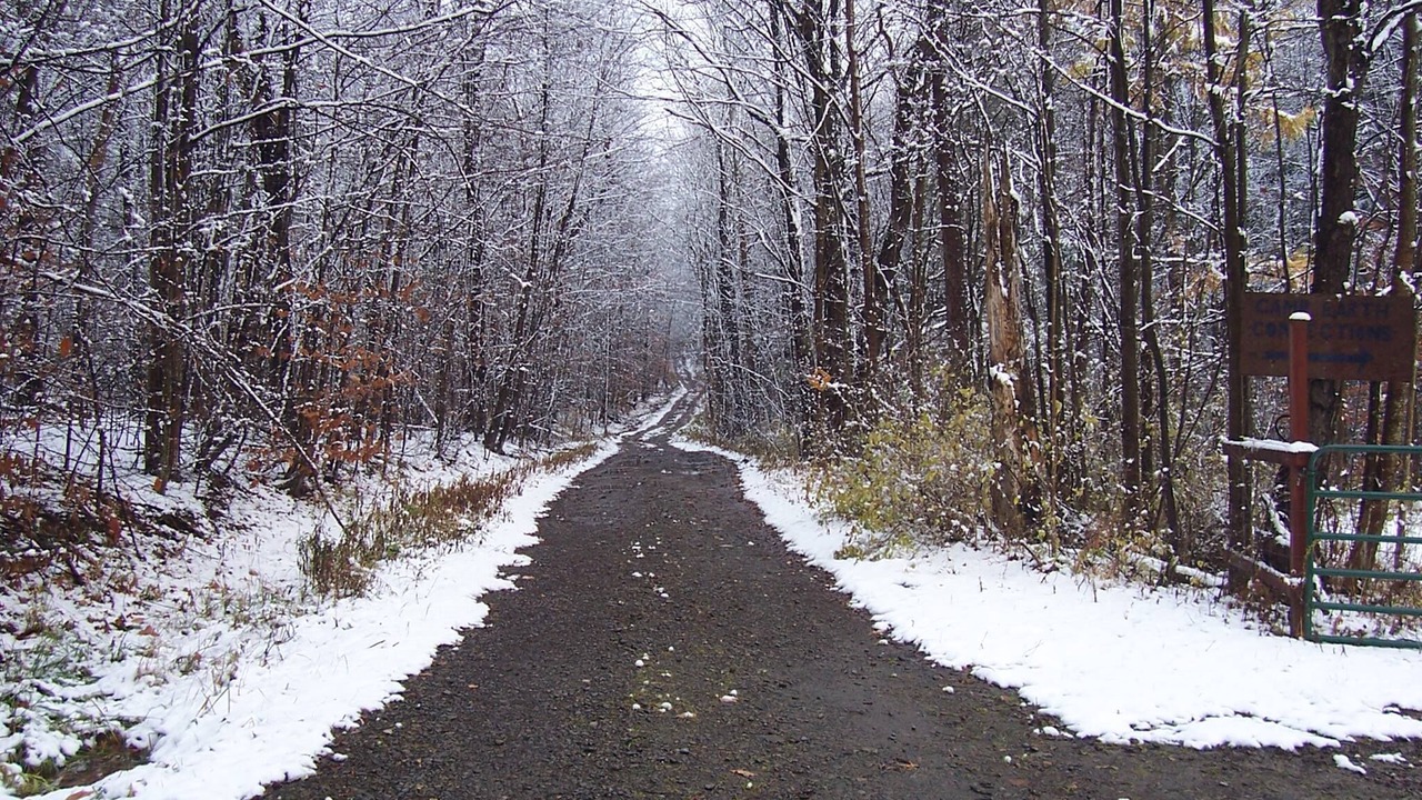 Photo of Others in Etna