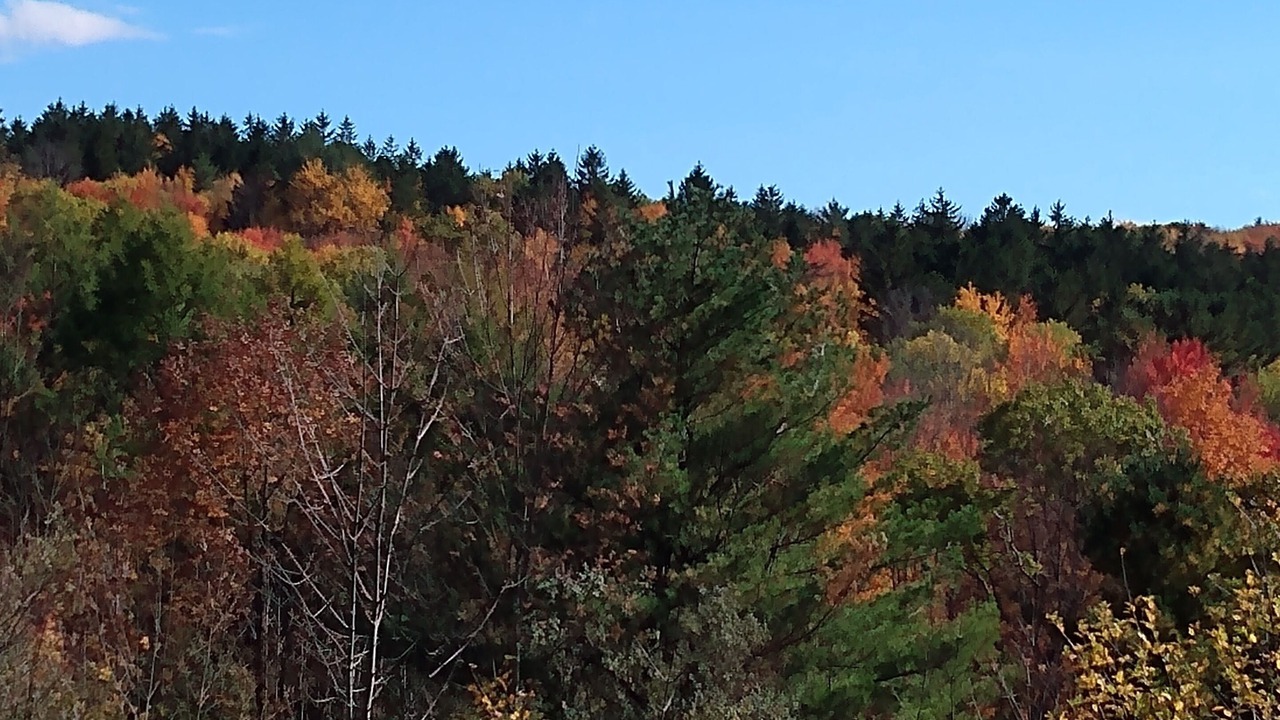 Photo of Others in Etna
