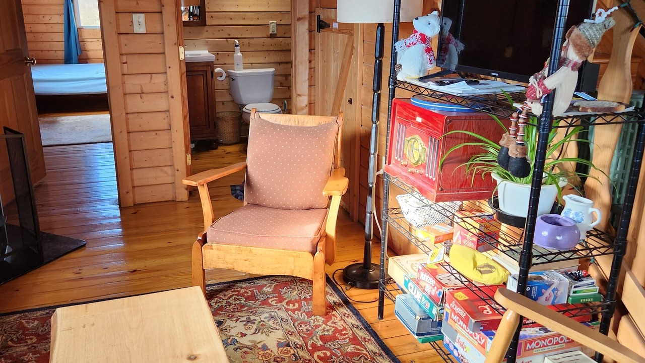 Photo of Livingroom in Etna