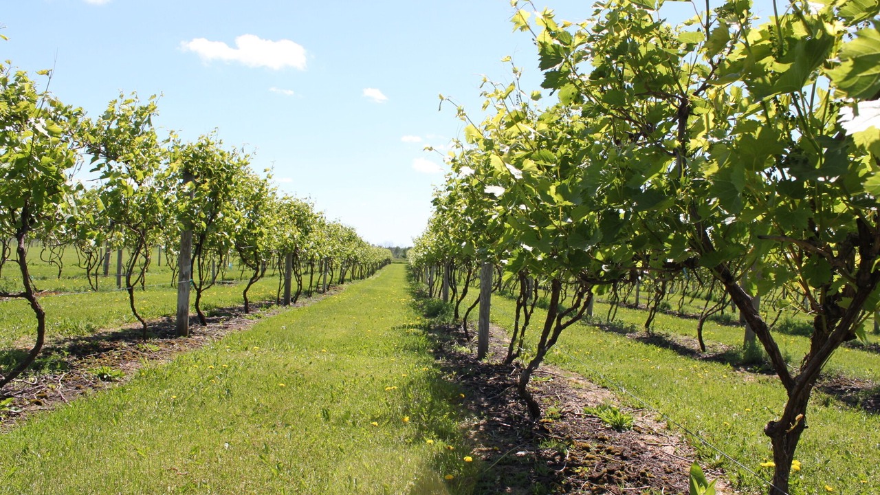 Photo of Others in Alexandria Bay