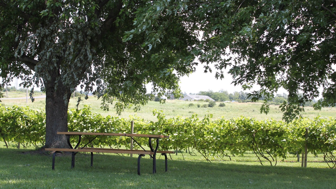 Photo of Others in Alexandria Bay