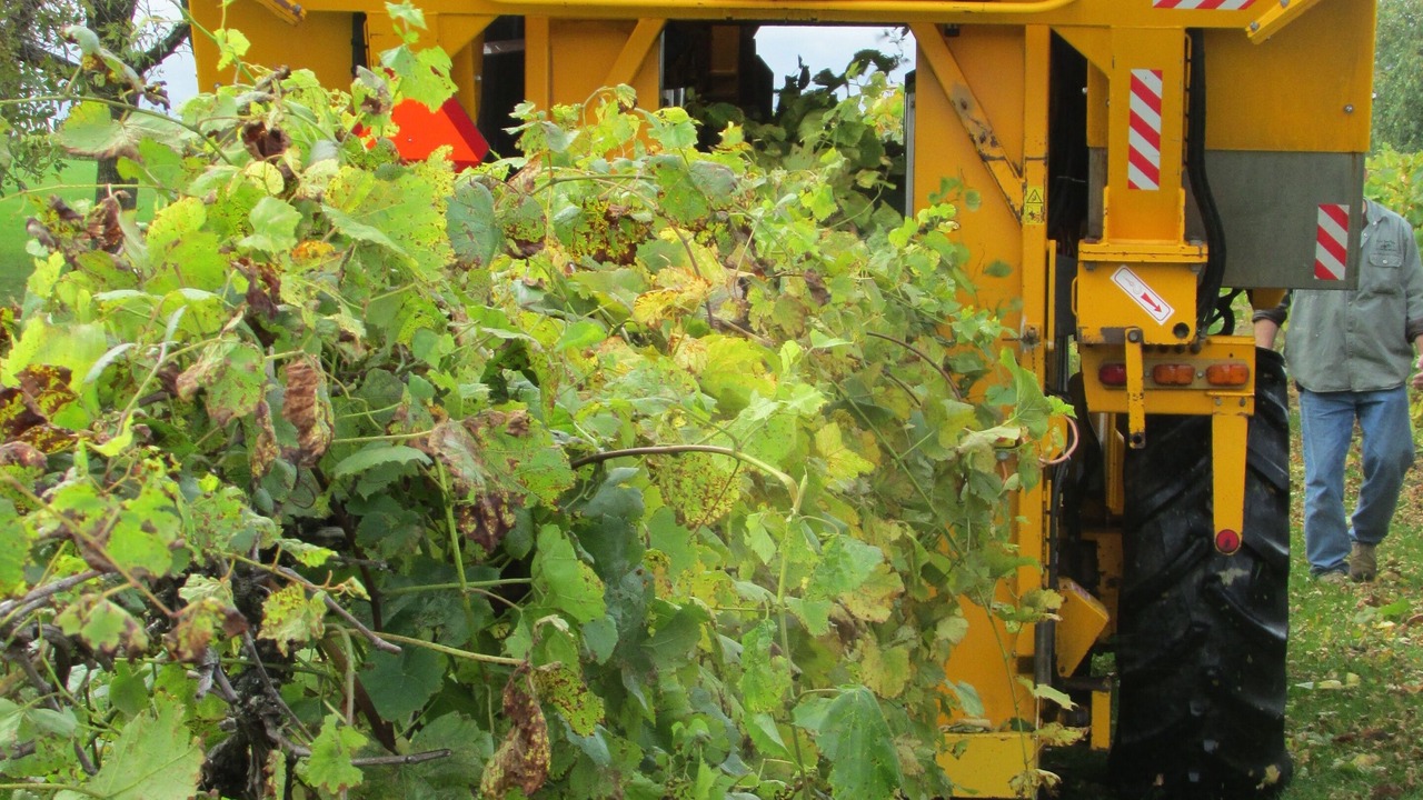 Photo of Others in Alexandria Bay
