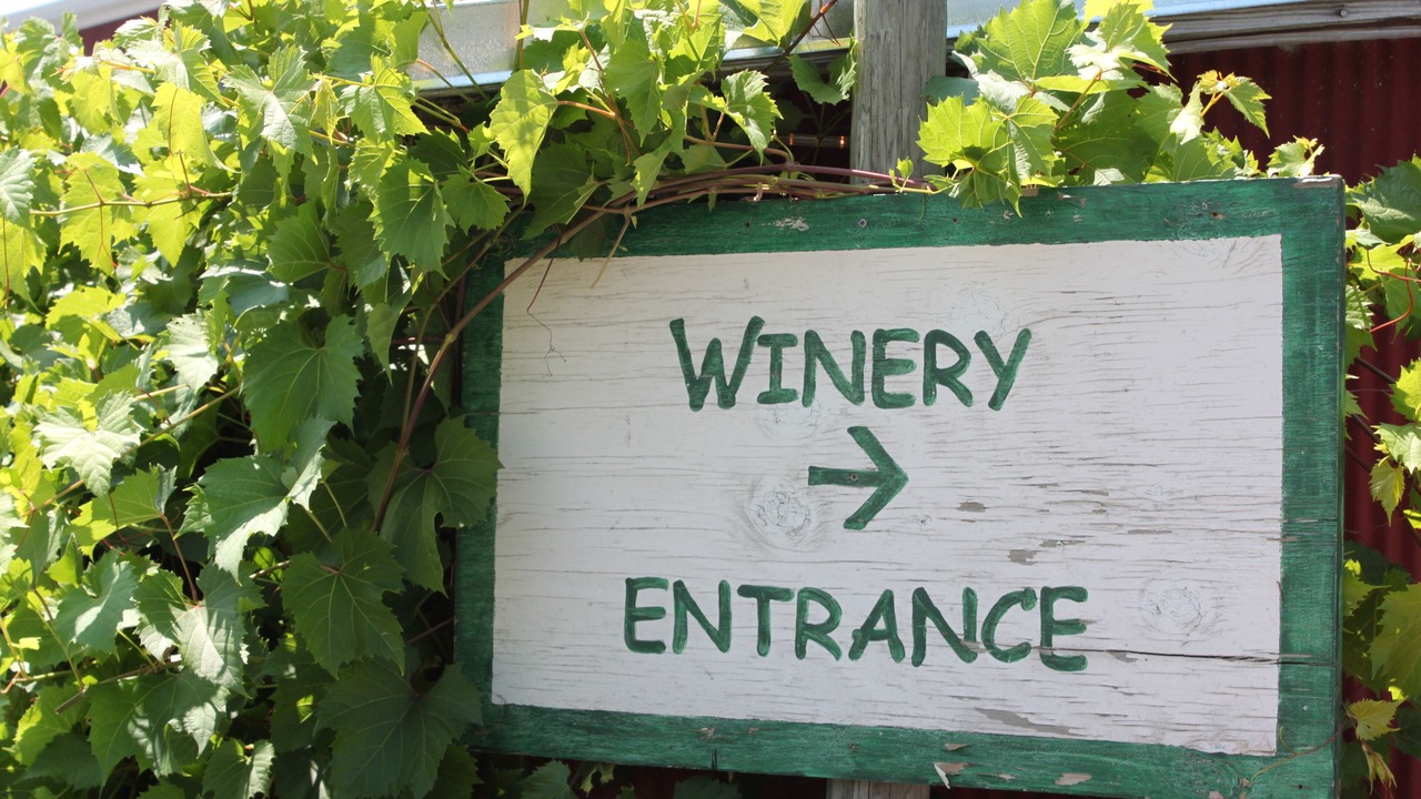 Photo of Bedroom in Alexandria Bay