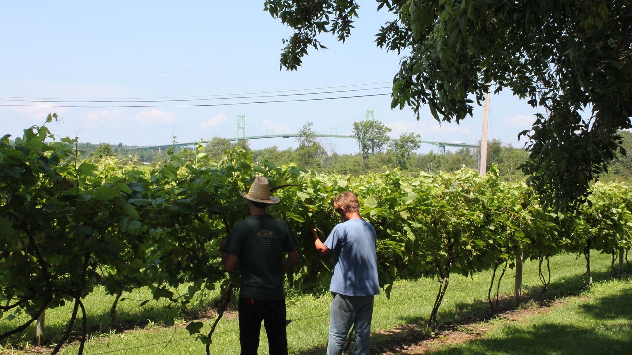 Photo of Others in Alexandria Bay