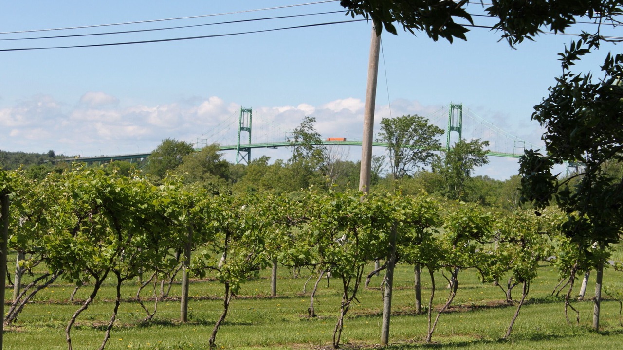 Photo of Others in Alexandria Bay