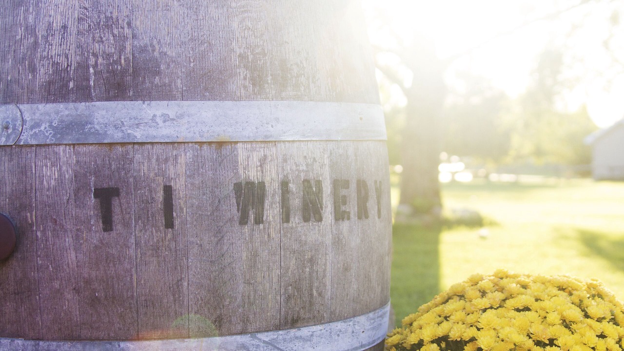 Photo of Others in Alexandria Bay