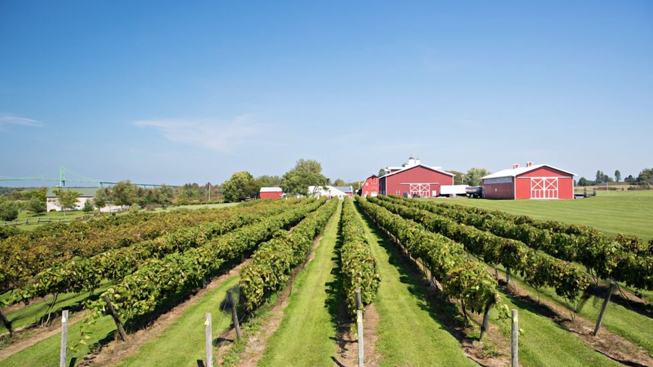 Photo of Others in Alexandria Bay