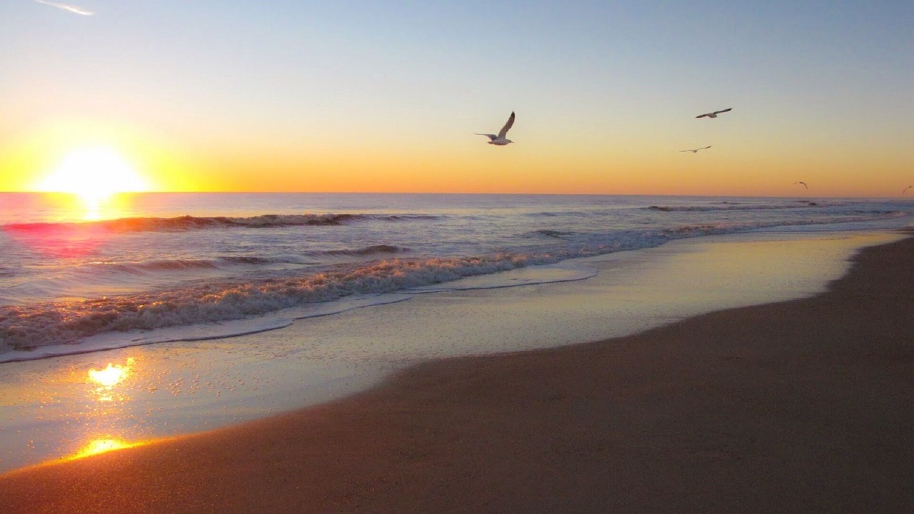 Photo of Others in Downtown Historic District