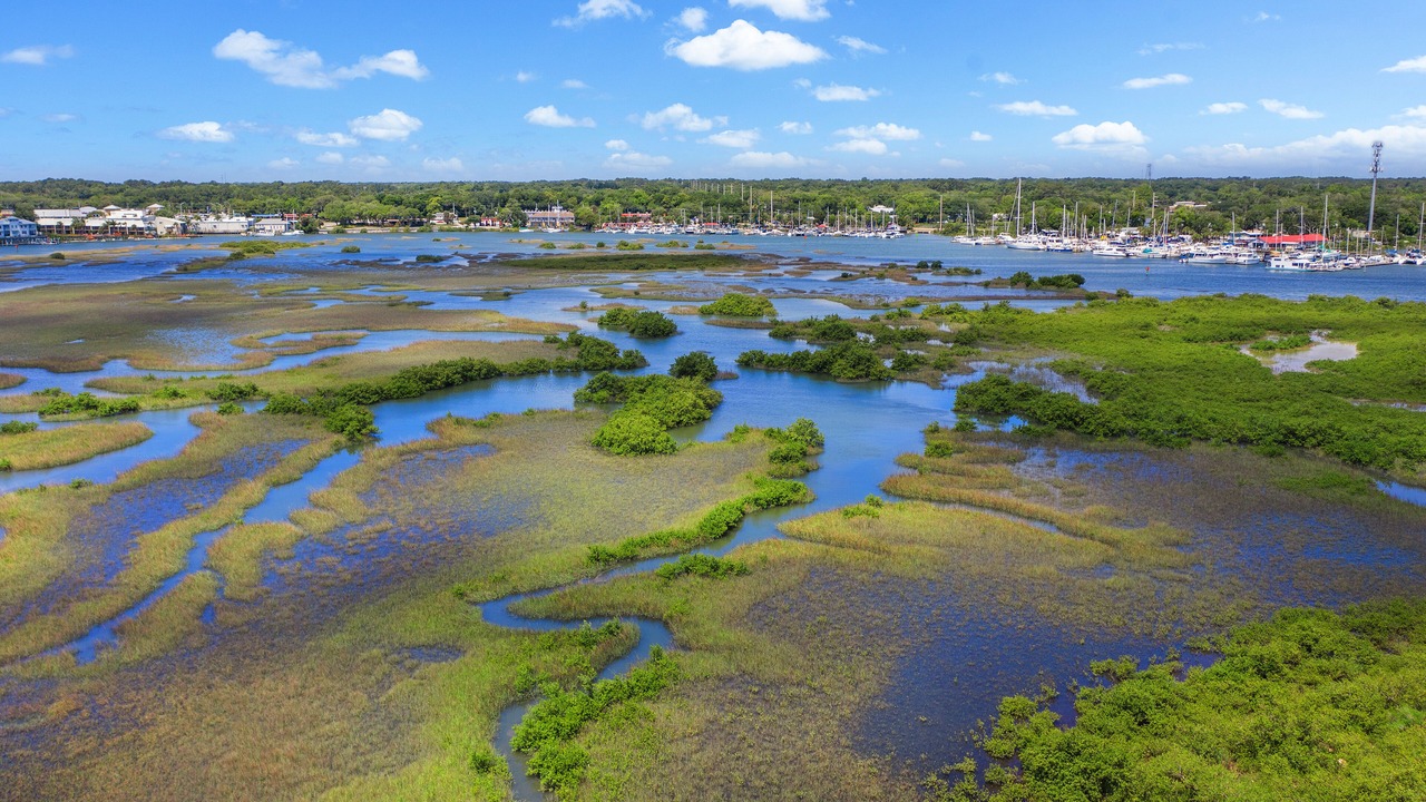 Photo of Others in Downtown Historic District