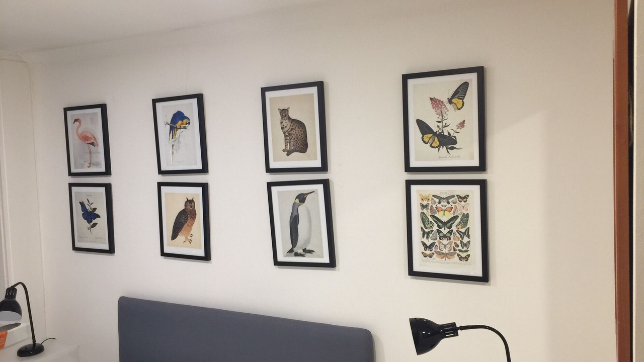 Photo of Bedroom in South Kensington