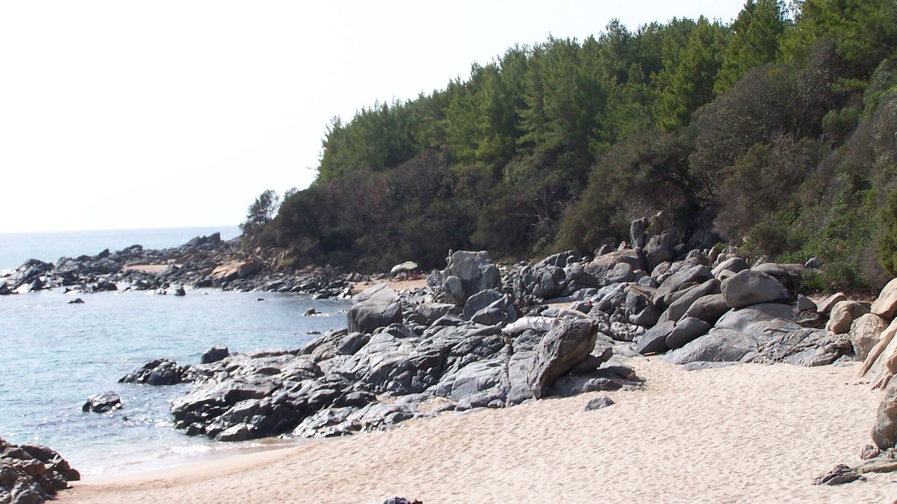 Photo of Others in Sollacaro