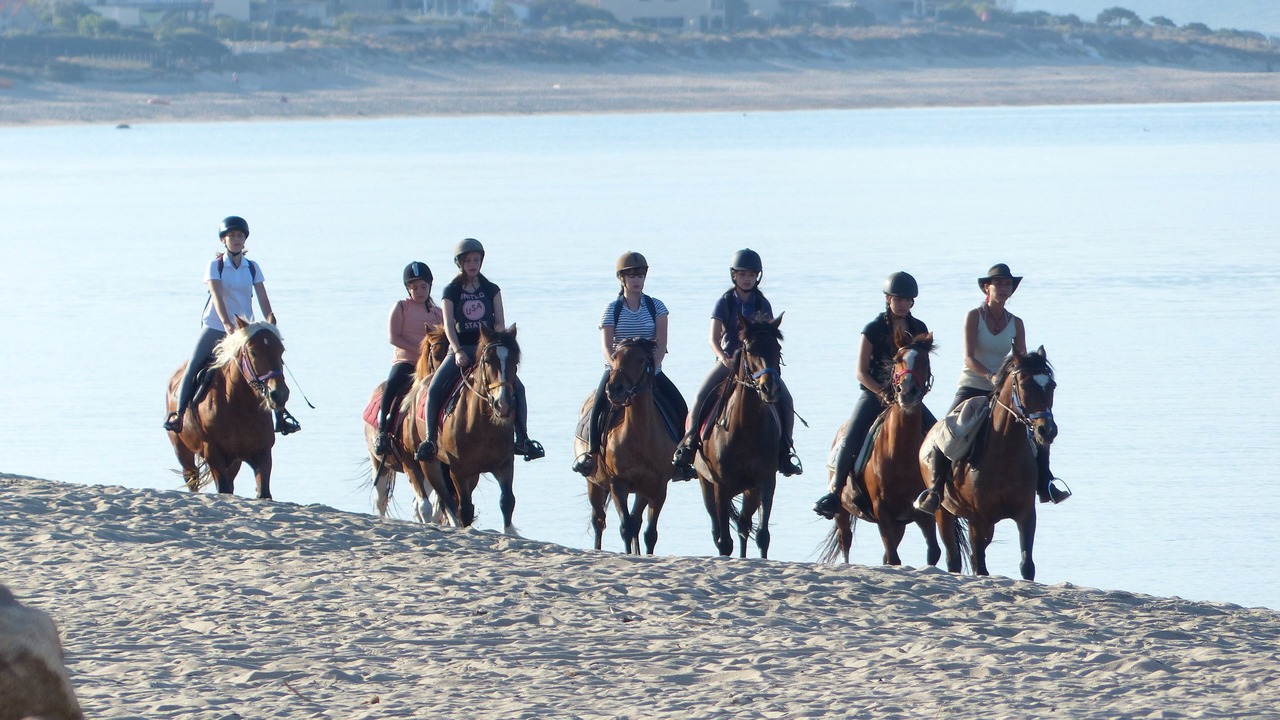 Photo of Others in Sollacaro