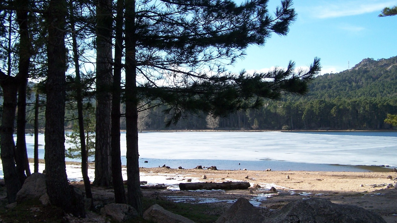 Photo of Others in Sollacaro