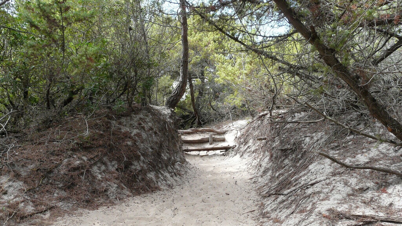 Photo of Outdoor in Sollacaro