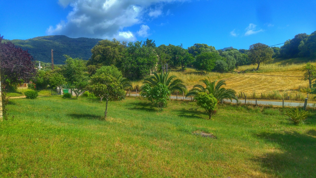 Photo of Outdoor in Sollacaro