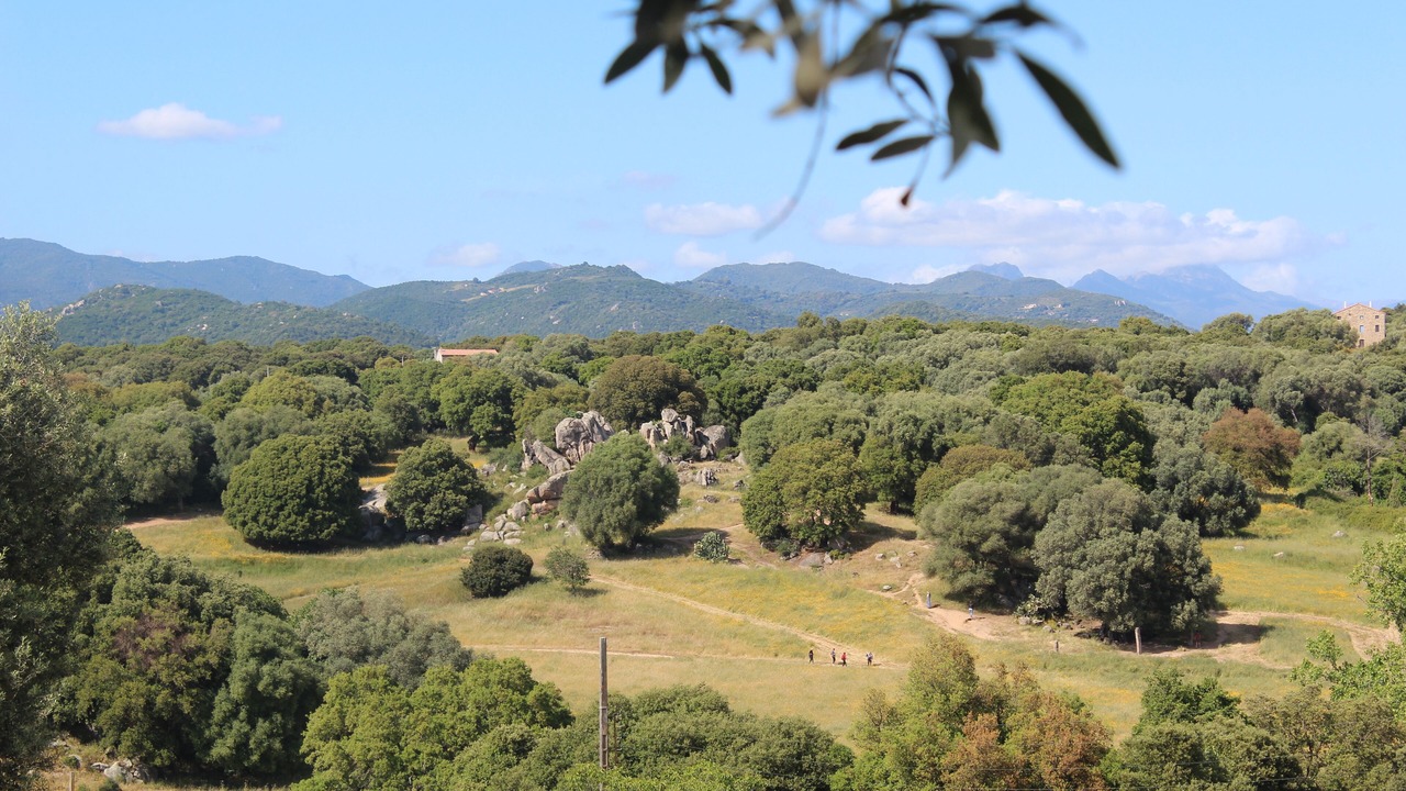 Photo of Outdoor in Sollacaro