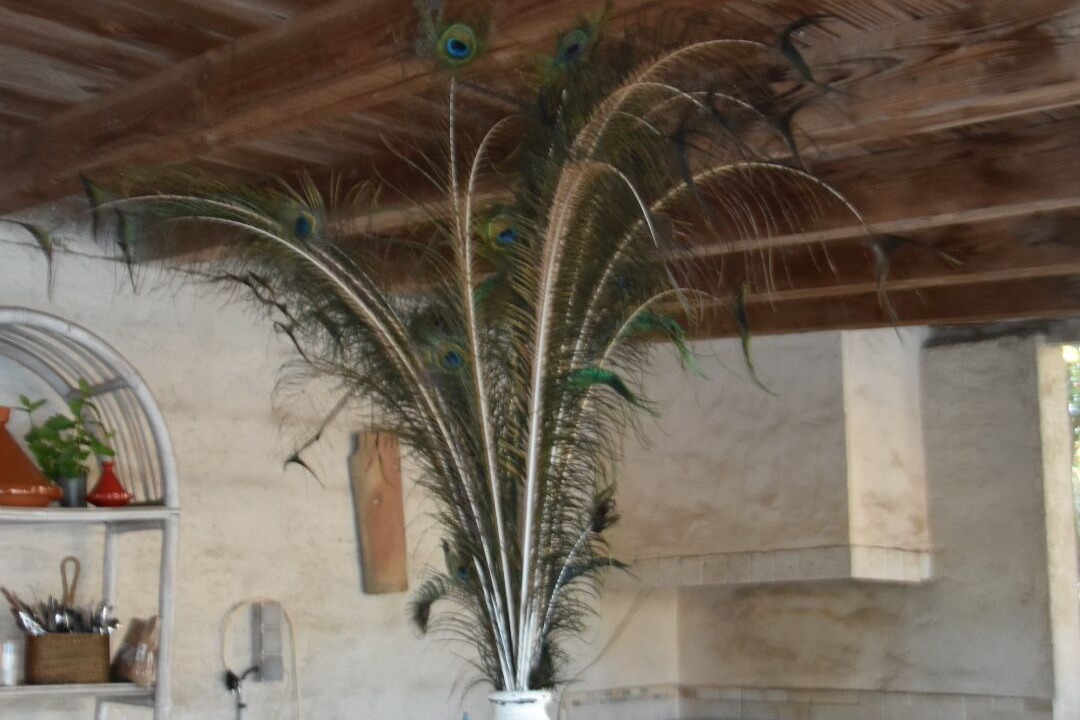 Photo of Kitchen in Saix