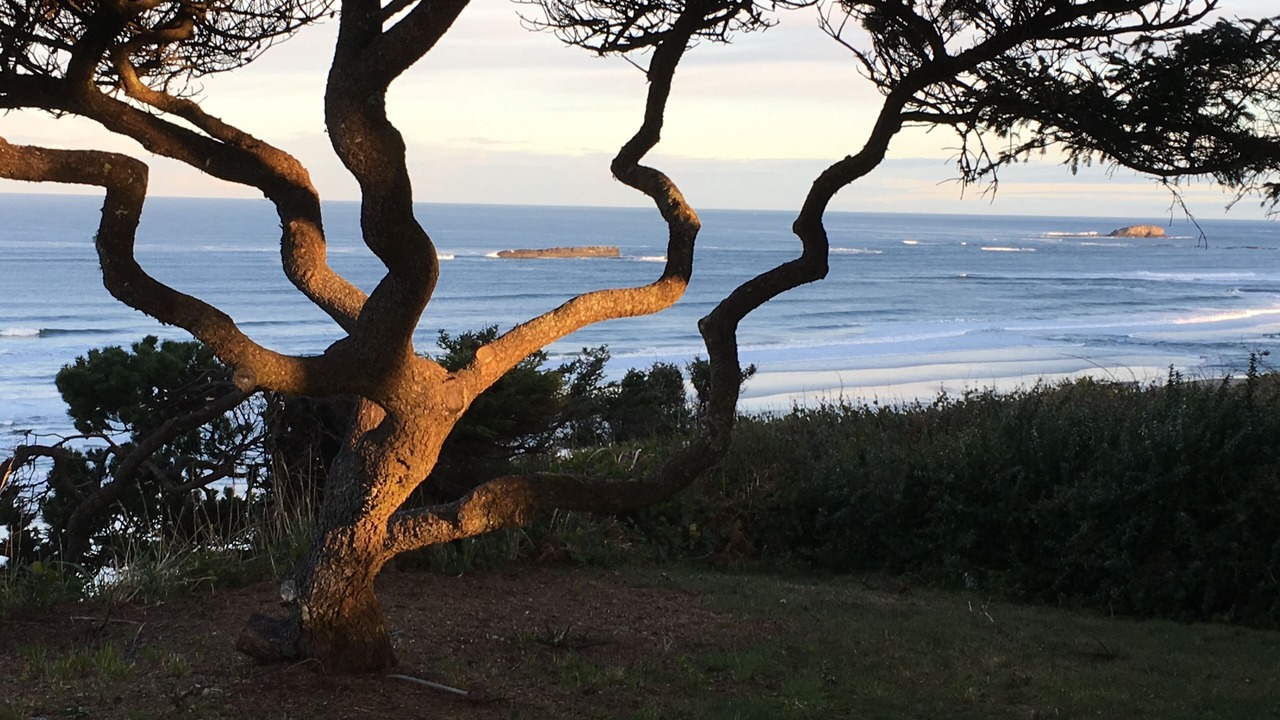 Photo of Others in Beverly Beach
