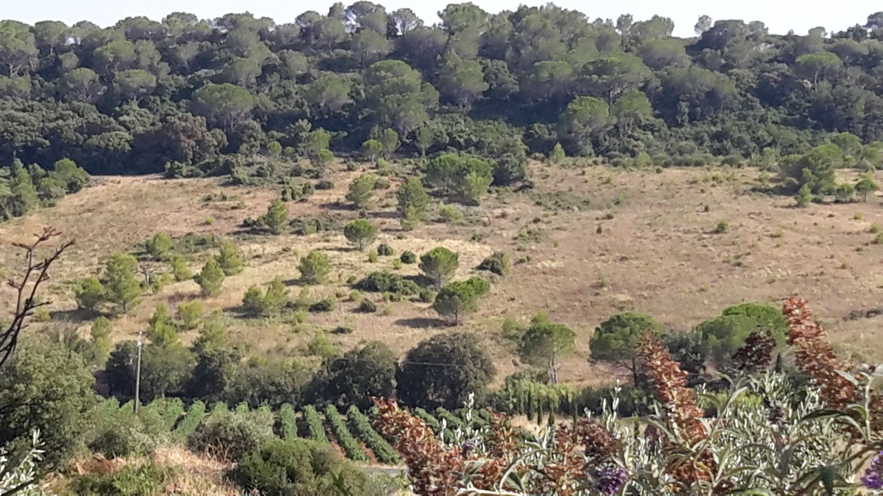 Photo of Outdoor in Quarante