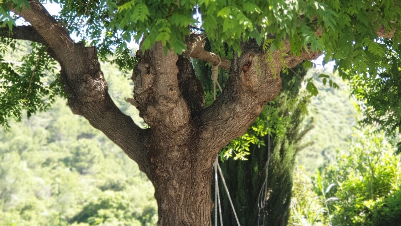 Photo of Outdoor in Quarante