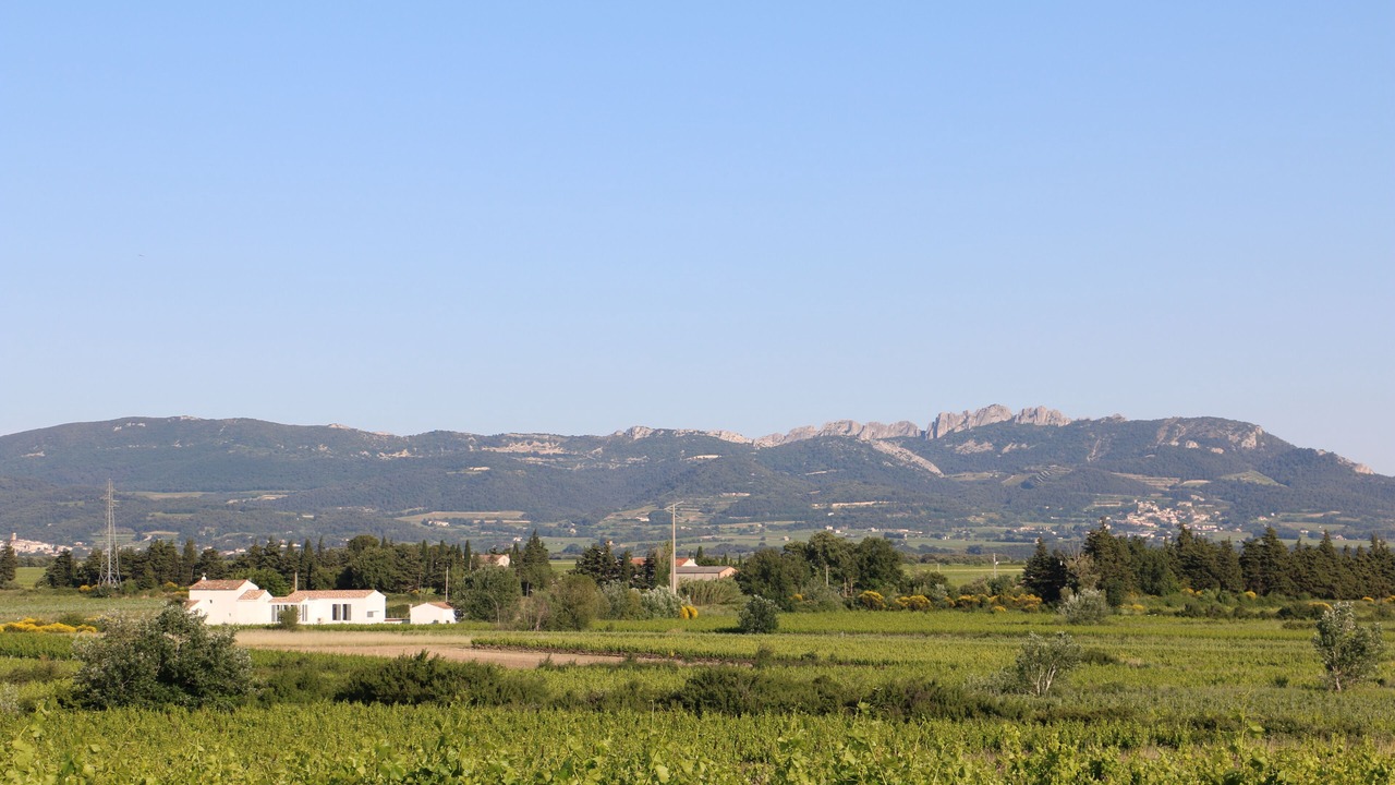 Photo of Outdoor in Cairanne