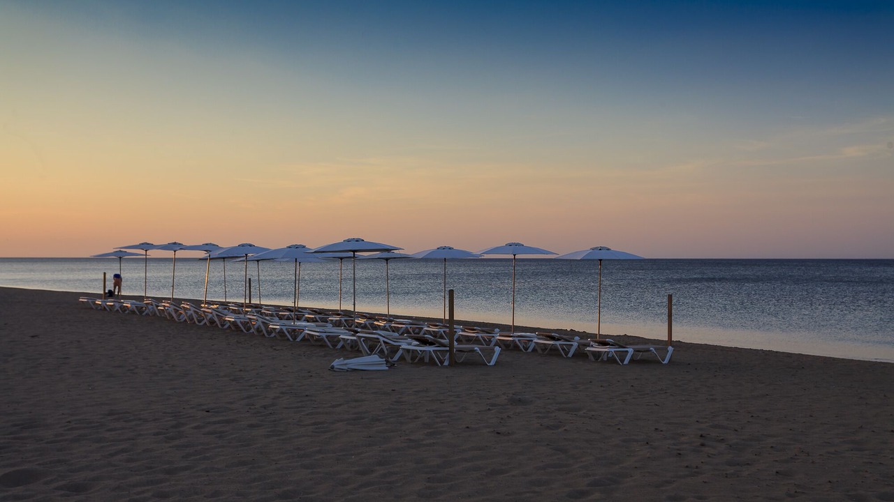 Photo of Others in Denia