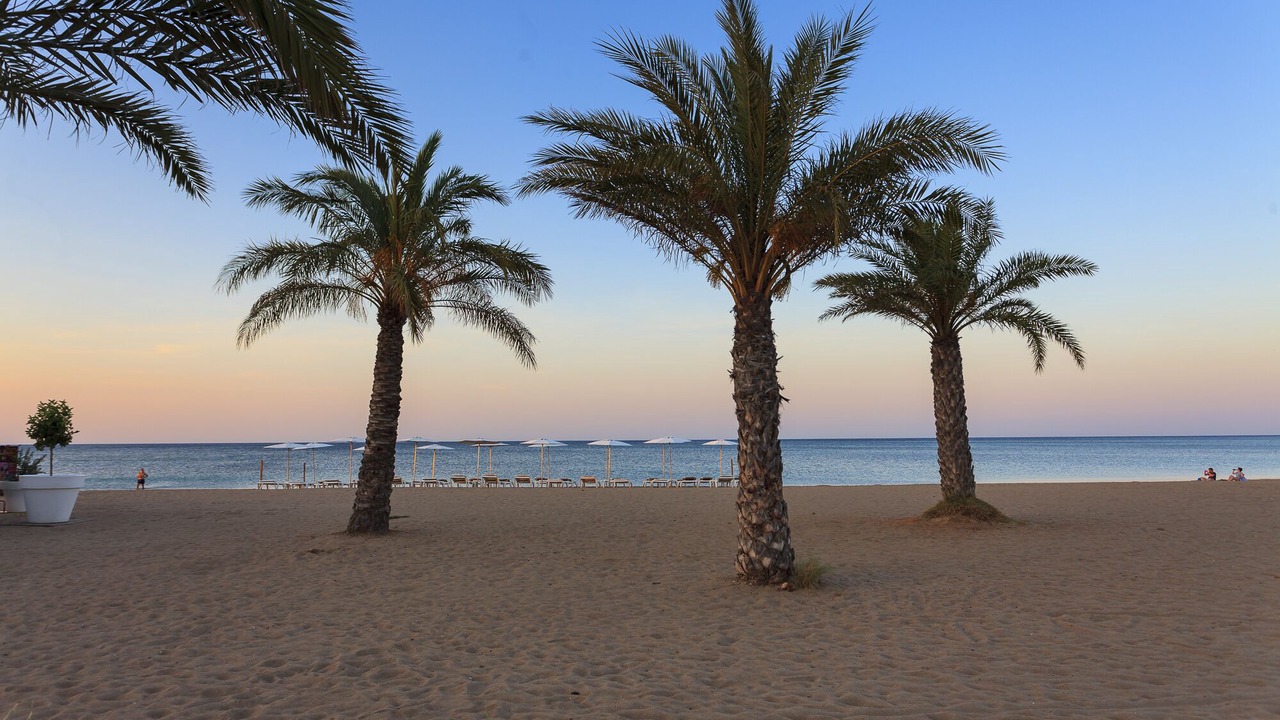 Photo of Others in Denia