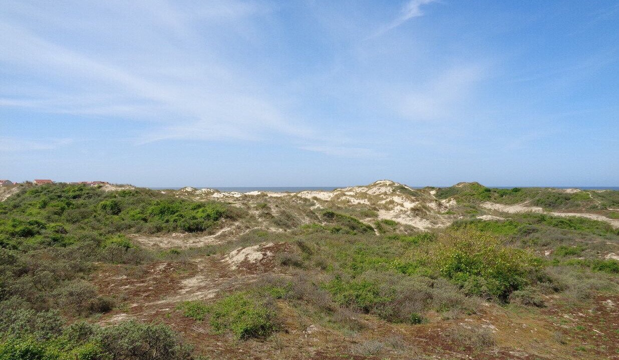 Photo of Others in Merlimont-Plage