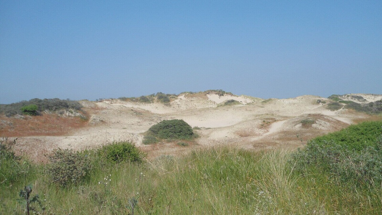 Photo of Others in Merlimont-Plage