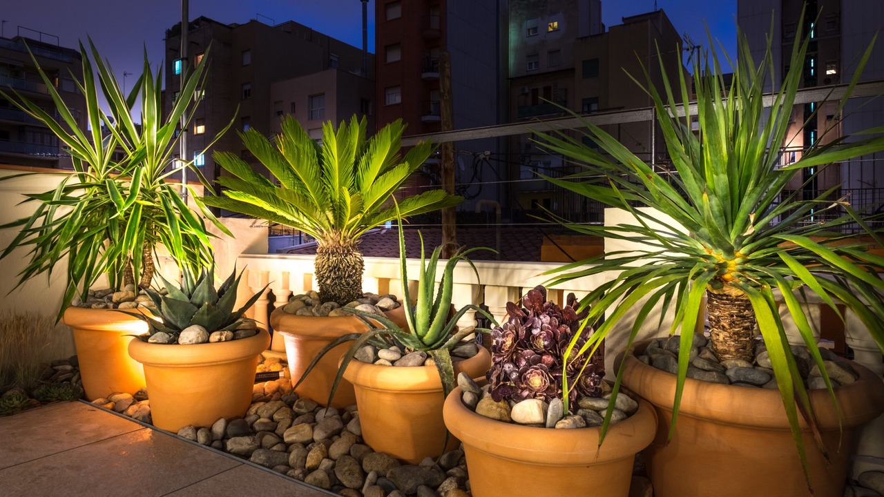 Photo of Outdoor in El Camp de l'Arpa del Clot