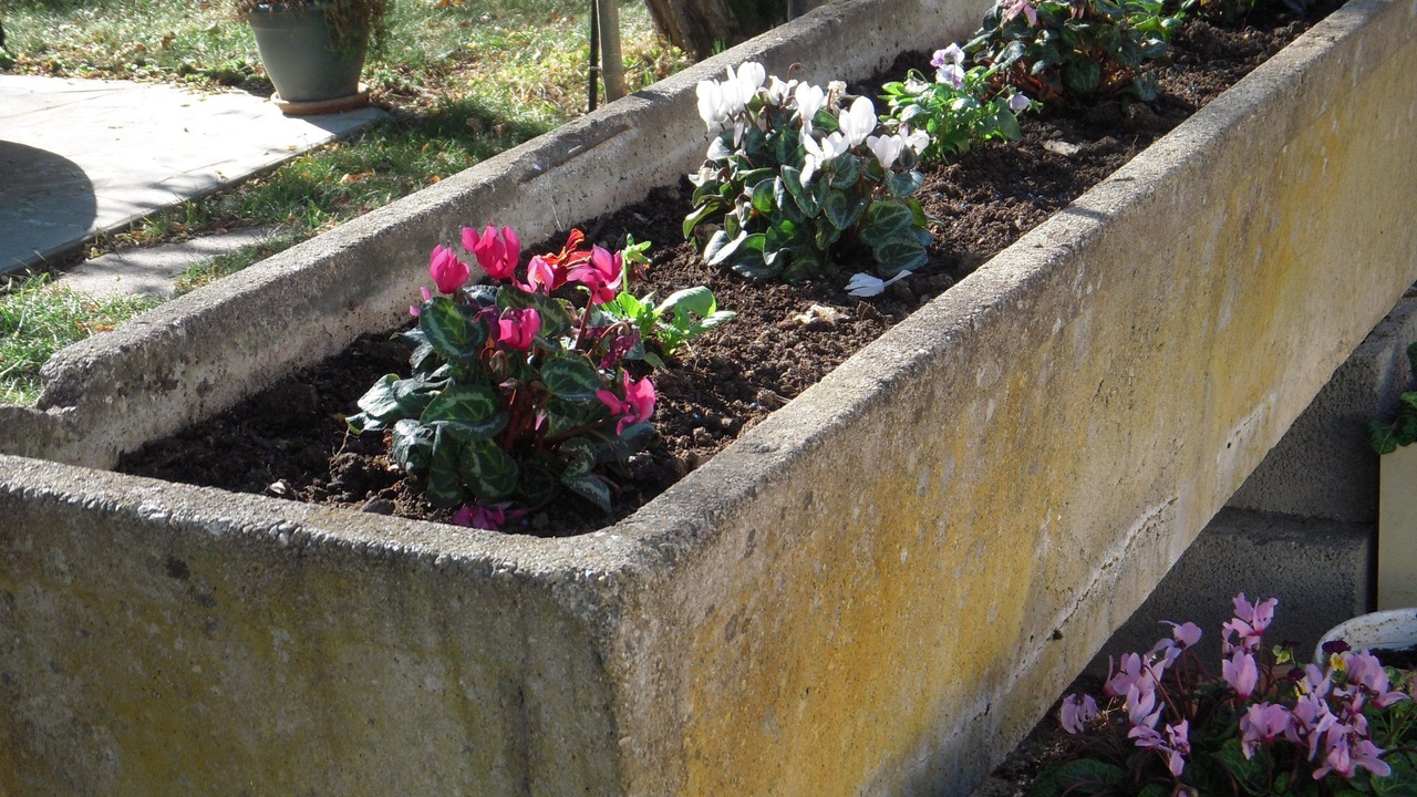 Photo of Outdoor in Saint-Gauderic